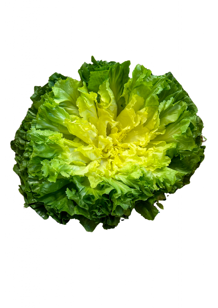 Salade scarole tonfoni