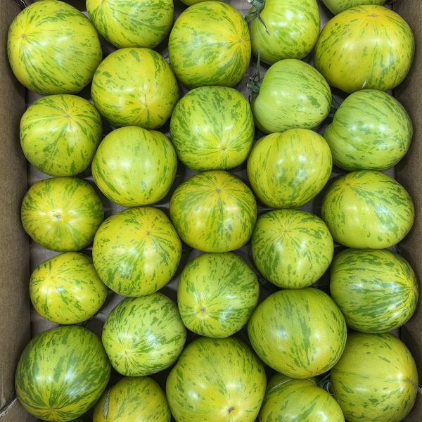 Tomate green zebra tonfoni