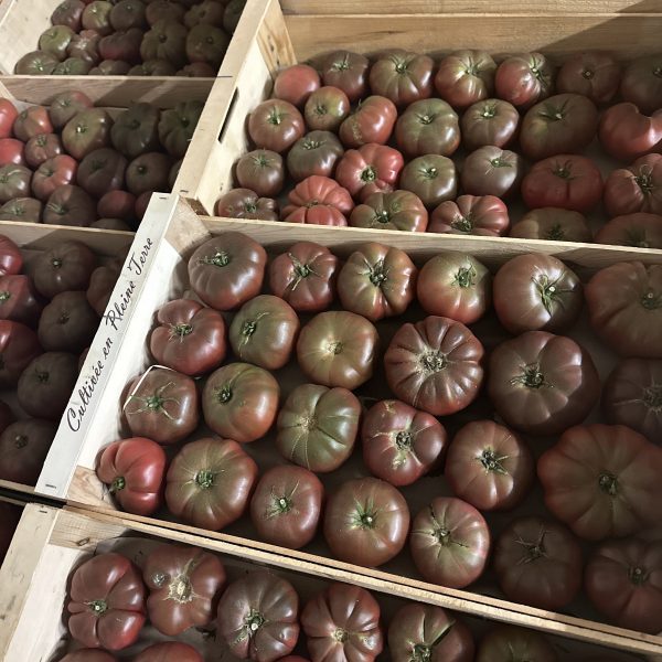 Tomate noir de crimée tonfoni