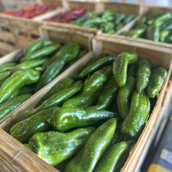 Poivrons corne de bœuf vert tonfoni