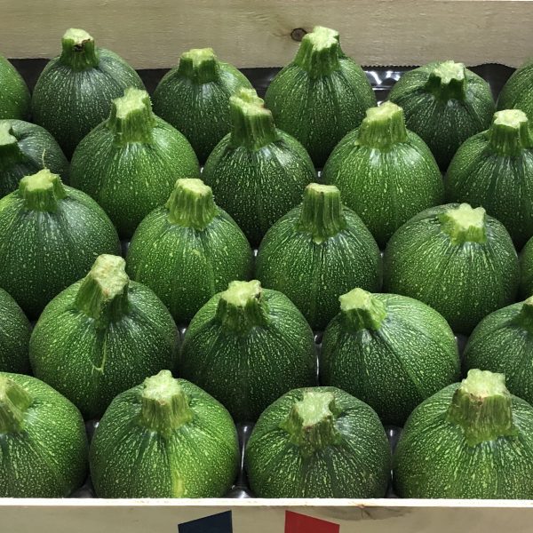 Courgette ronde verte tonfoni