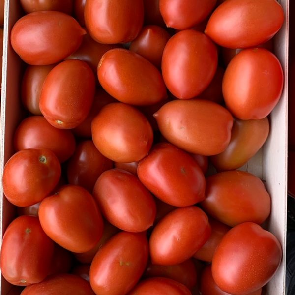 Tomate roma tonfoni
