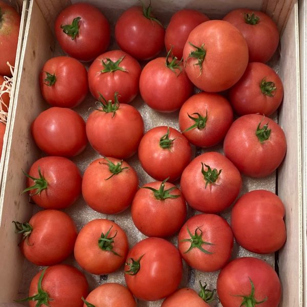 Tomate rose de berne tonfoni