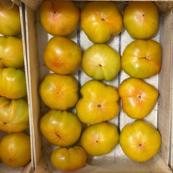 Tomate Ananas tonfoni