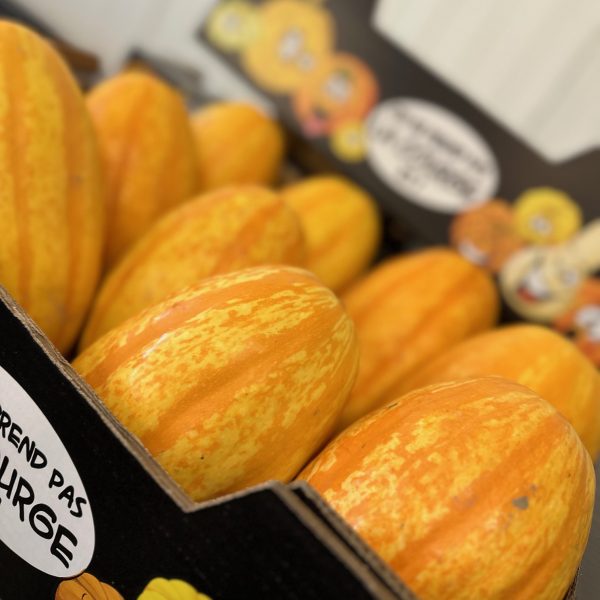 Courge spaghetti tonfoni