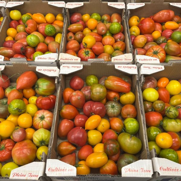 Tomate mélange tonfoni