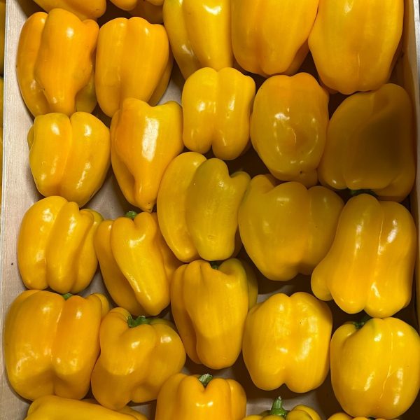 Poivrons jaune tonfoni