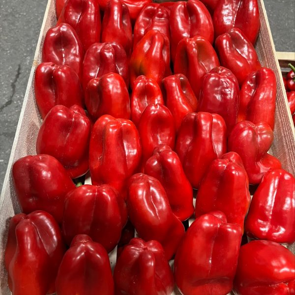 Poivrons rouge