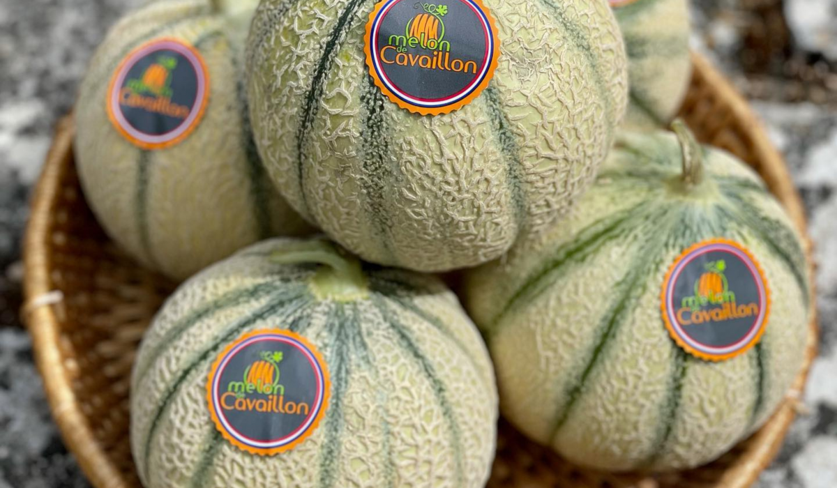 Melon charantais tonfoni