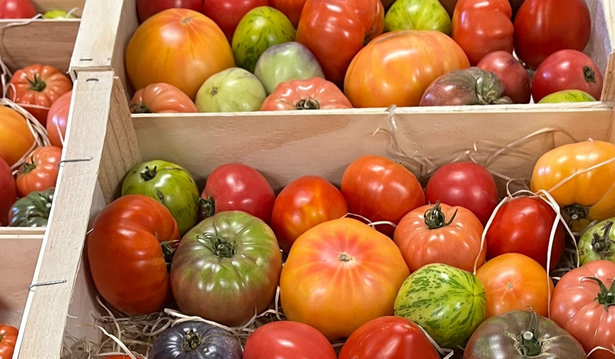 Tomate mélange tonfoni
