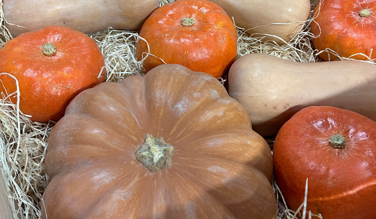 Mélange de courges tonfoni