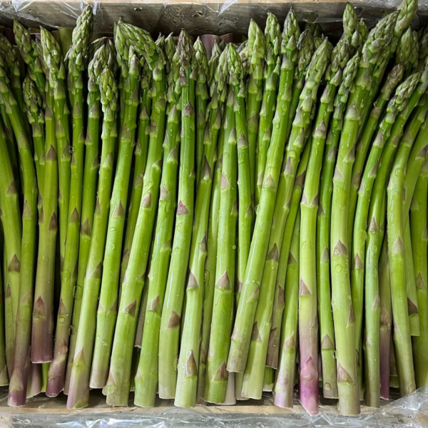 Asperge verte tonfoni