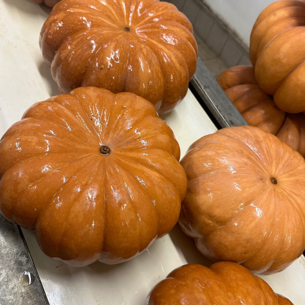 Courge muscade tonfoni