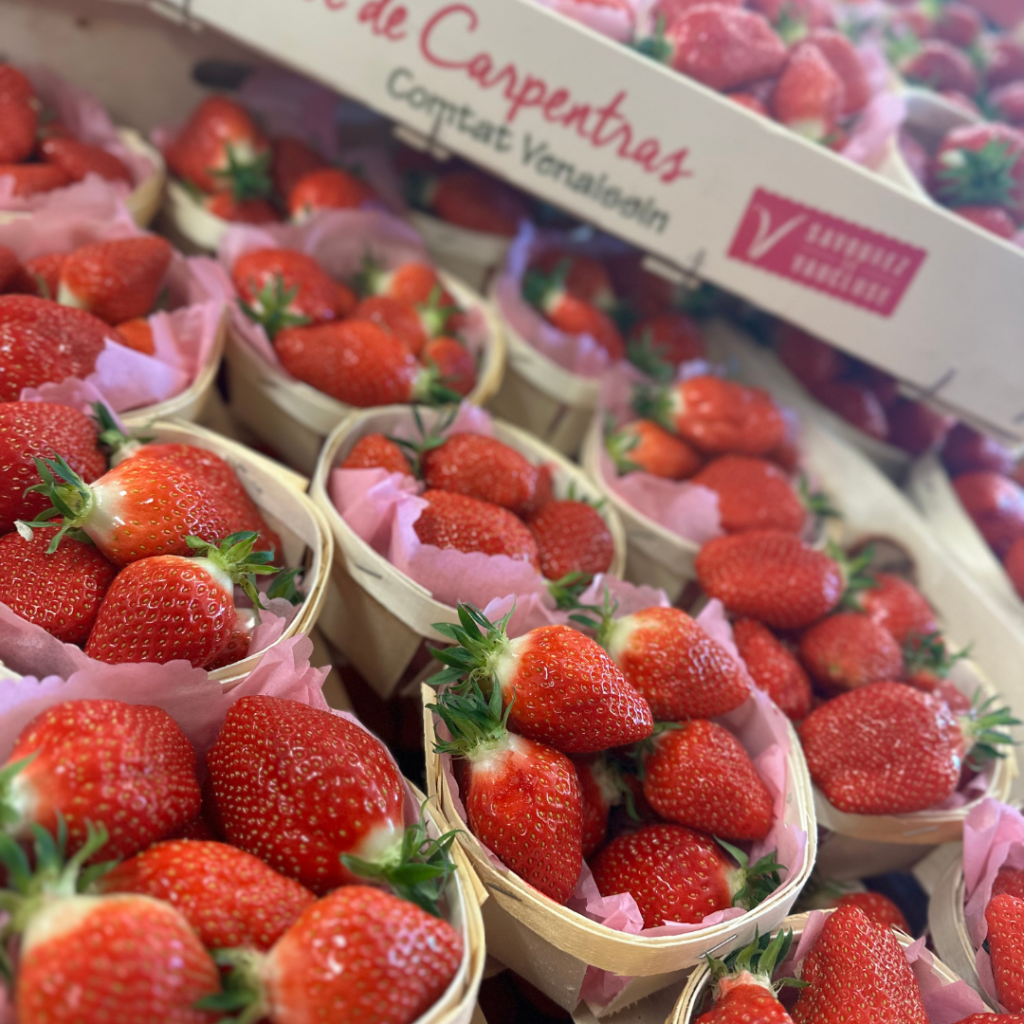 Fraise garigette tonfoni